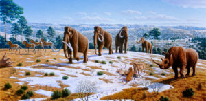 Licensing via Creative Commons: “Ice age fauna of northern Spain” by Mauricio Antón. Source: “Caitlin Sedwick (1 April 2008). "What Killed the Woolly Mammoth?". PLoS Biology 6 (4): e99. DOI:10.1371/journal.pbio.0060099.” Permission for reuse: “© 2008 Public Library of Science. This is an open-access article distributed under the terms of the Creative Commons Attribution License, which permits unrestricted use, distribution, and reproduction in any medium, provided the original author and source are credited.” No changes were made. Obtained via: Wikimedia Commons.